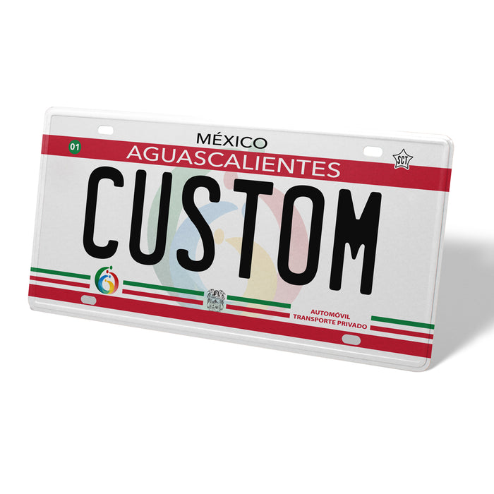 Aguascalientes Metal License Plate