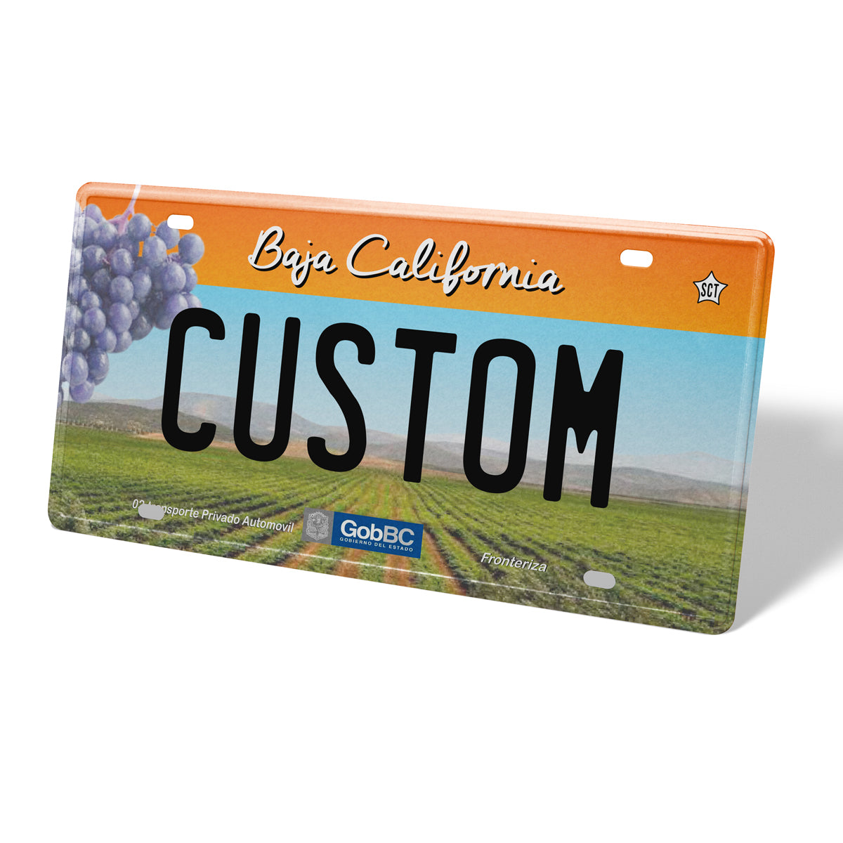 Custom California License Plates Express Your Style! — CityLocs