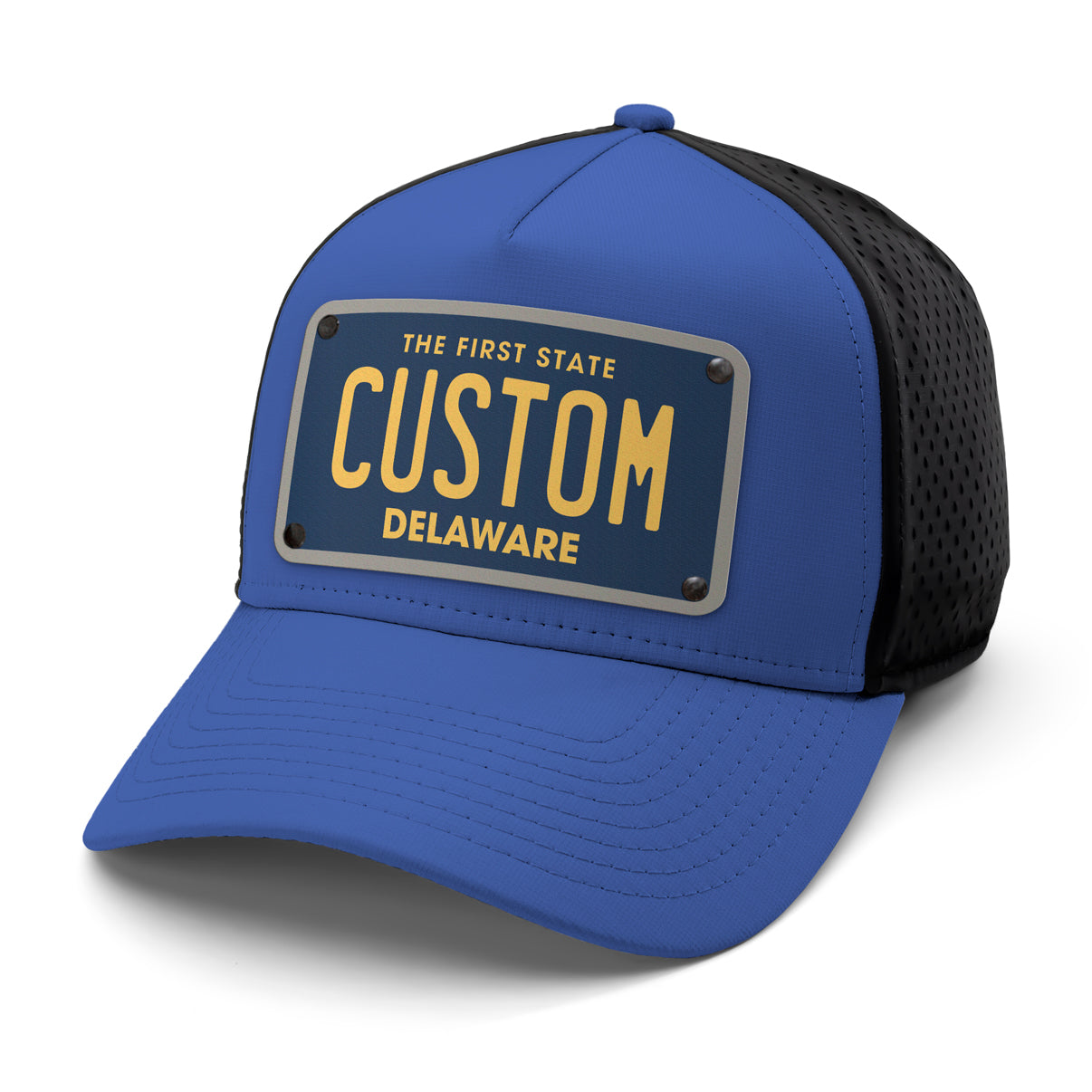 Delaware Plate Hat