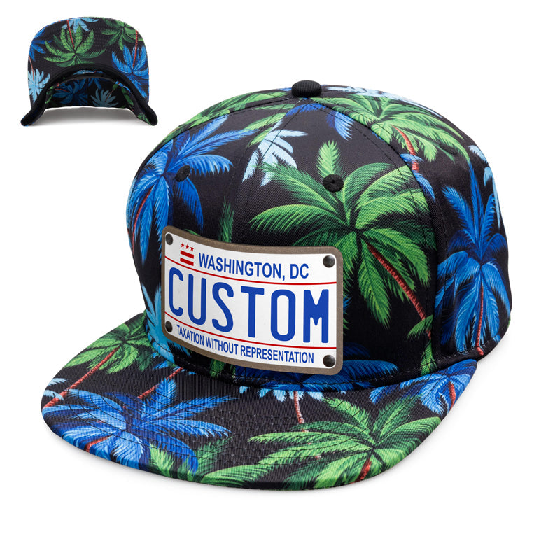 Washington DC Plate Hat