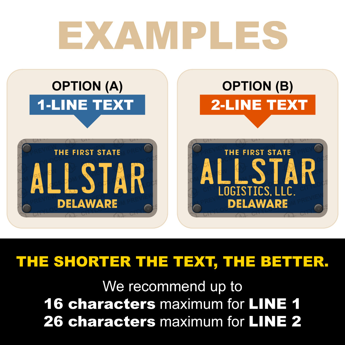 Delaware Plate Hat